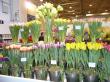 IPM Essen