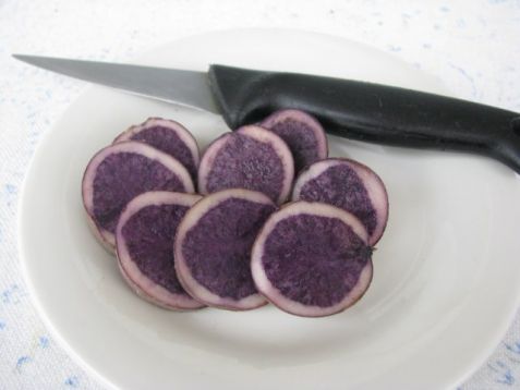 Solanum "bergerac" - brambory