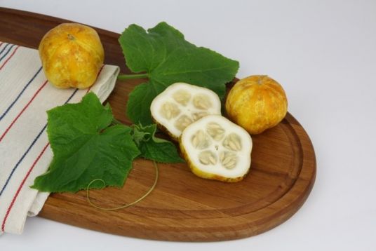 Cucumis sativus "lemon apple" - citrónová okurka
