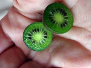 Actinidia arguta "jumbo" - kiwi