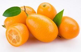 Citrofortunella kumquat
