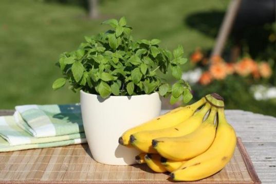 Mint banana