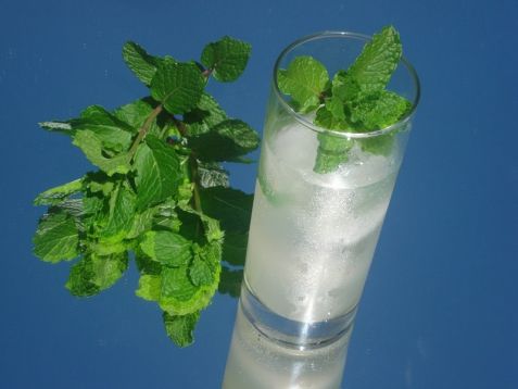 Máta mojito