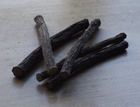 Glycyrrhiza glabra - lékořice lysá